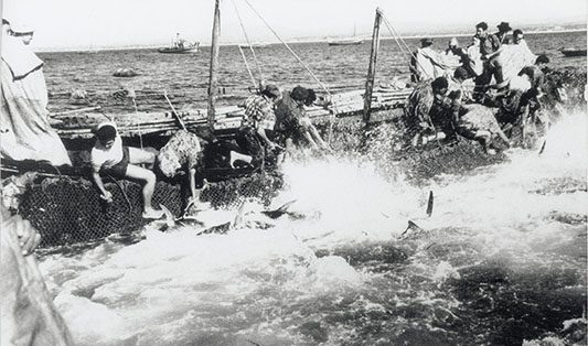 Ramirez Conservas | A mais antiga fábrica de conservas | Museu Virtual