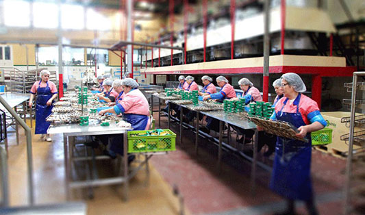 Ramirez Conservas | A mais antiga fábrica de conservas | Museu Virtual