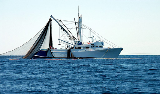 Ramirez Conservas | A mais antiga fábrica de conservas | Museu Virtual