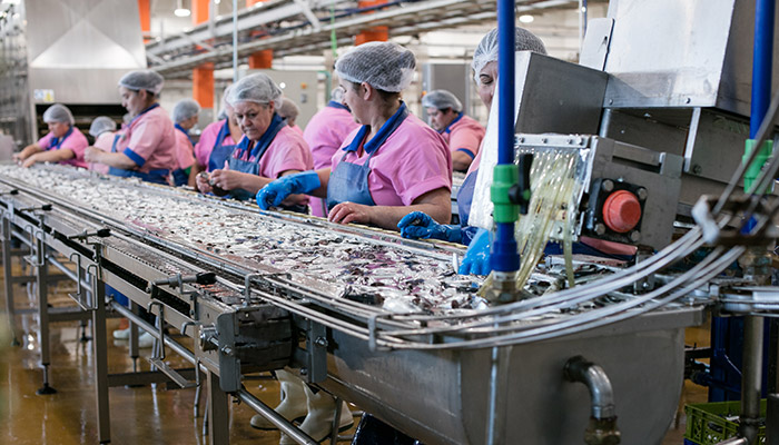 Ramirez Conservas | A mais antiga fábrica de conservas | Contactos