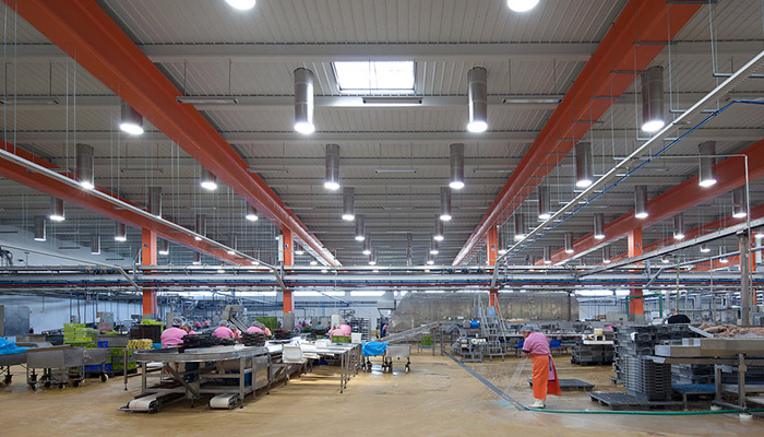 Ramirez Conservas | A mais antiga fábrica de conservas | Contactos