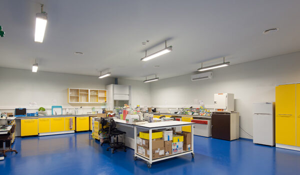 Ramirez Conservas | A mais antiga fábrica de conservas | Qualidade