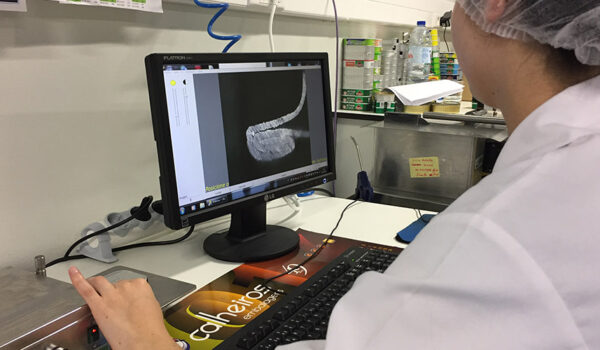 Ramirez Conservas | A mais antiga fábrica de conservas | Qualidade