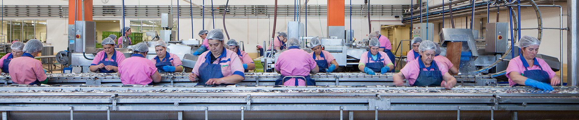 Ramirez Conservas | A mais antiga fábrica de conservas | Qualidade