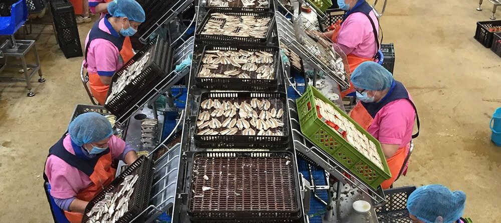 Ramirez Conservas | A mais antiga fábrica de conservas | Apenas um caso positivo de COVID-19, após testagem a 200 colaboradores