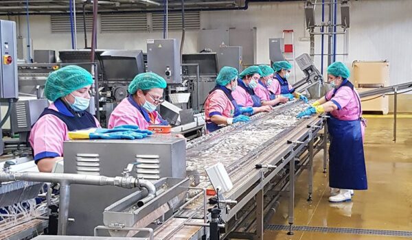 Ramirez Conservas | A mais antiga fábrica de conservas | Notícias