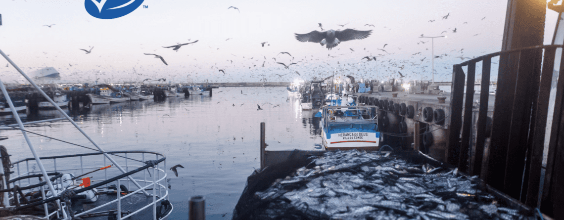 Ramirez Conservas | A mais antiga fábrica de conservas | Ramirez saúda conquista do selo MSC pela pesca da sardinha