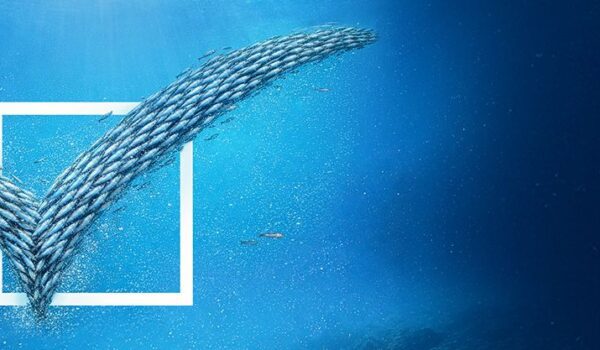 Ramirez Conservas | A mais antiga fábrica de conservas | Ramirez Conservas loja online